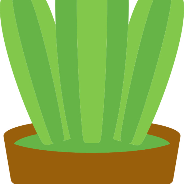 Cactus 1 Thumbnail