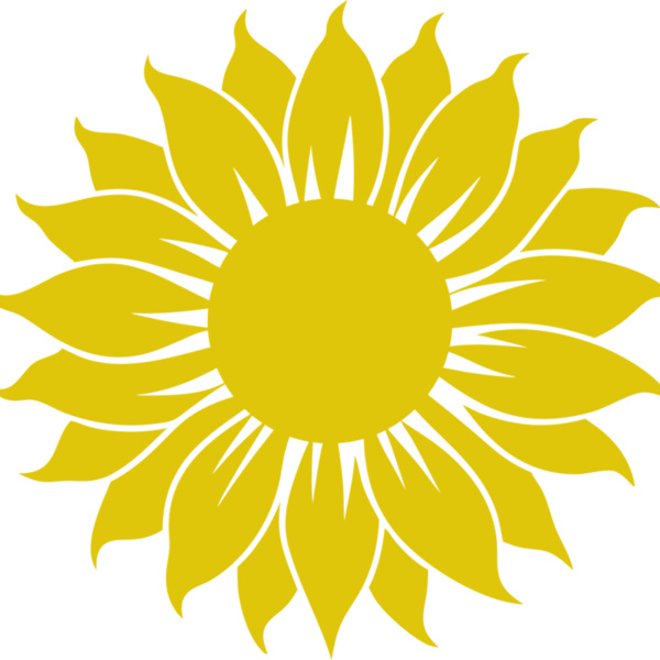 Sunflower Thumbnail