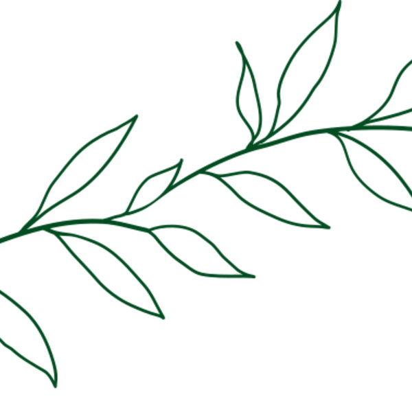 Leaves 2 Thumbnail