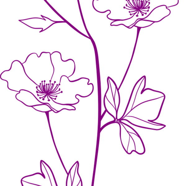 Flower 8 Thumbnail