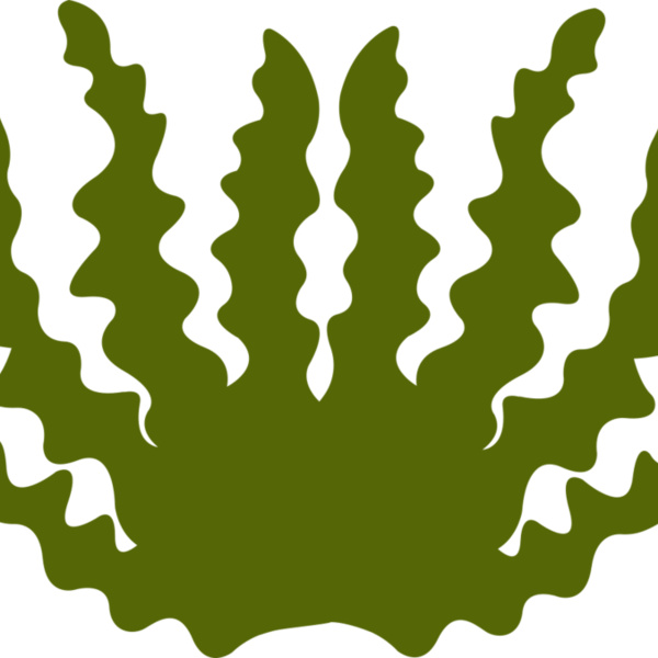 Sea Plant 2 Thumbnail