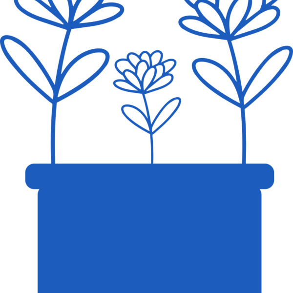 Flowers 6 Thumbnail