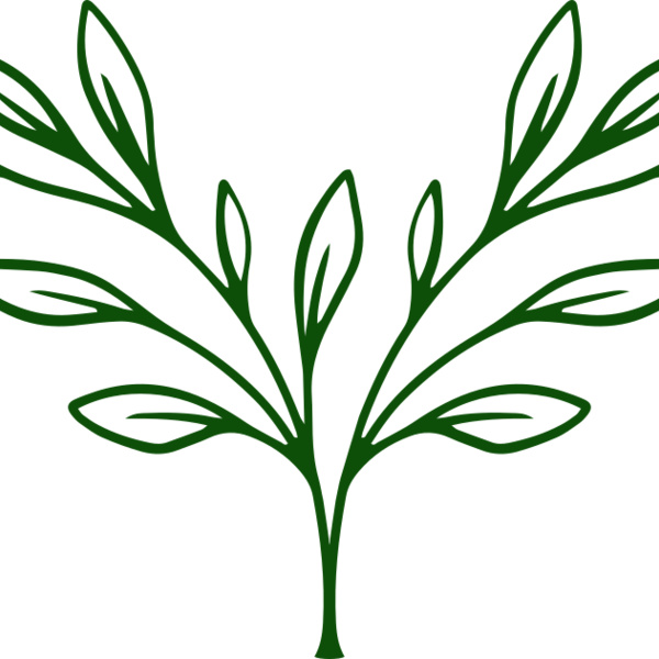 Plants 3 Thumbnail