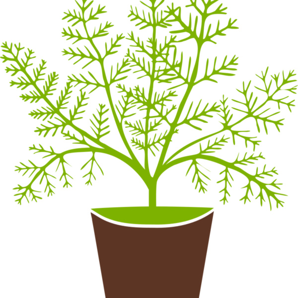 Plant Thumbnail