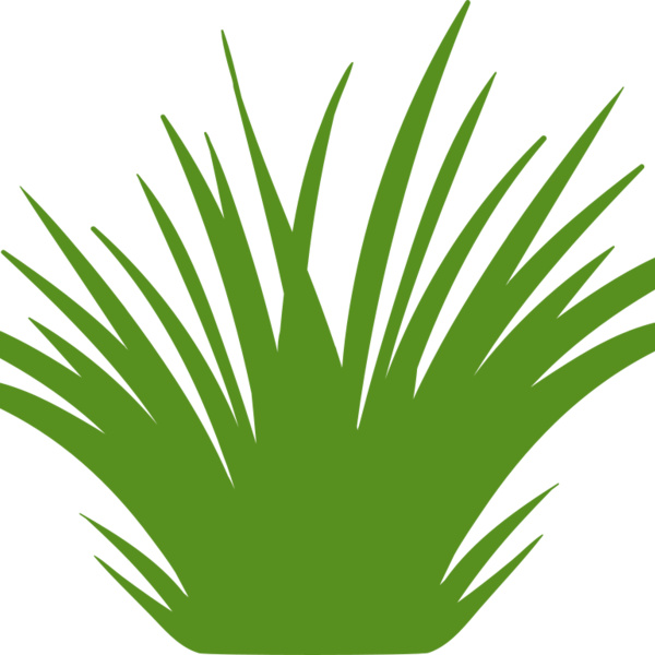 Grass 2 Thumbnail